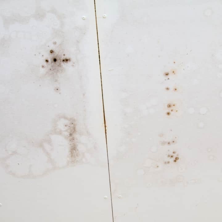 Leak Detection in Eastern Beach